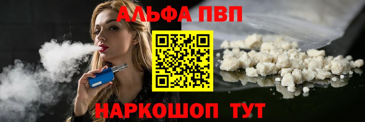 Alfa_PVP СК КРИС Курчалой