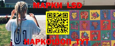 спайс Кингисепп