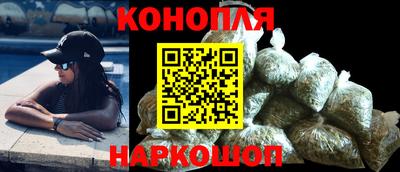 сатива Камышлов