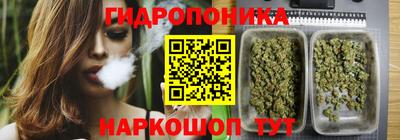 сатива Камышлов