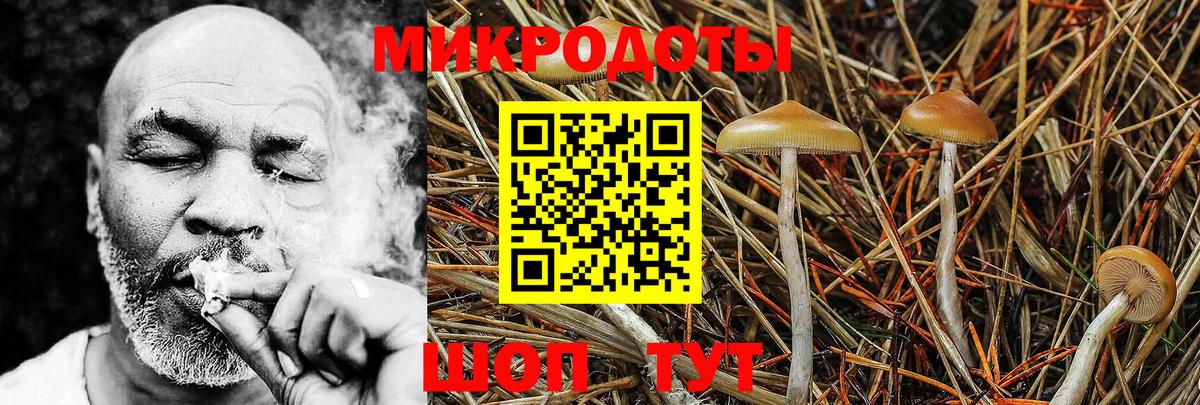 Псилоцибиновые грибы Cubensis  Вход с VPN  Курчалой 